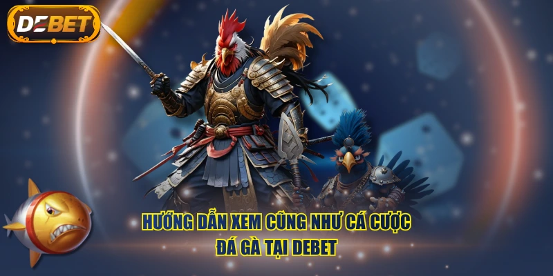 Hướng dẫn xem cũng như cá cược đá gà tại DEBET